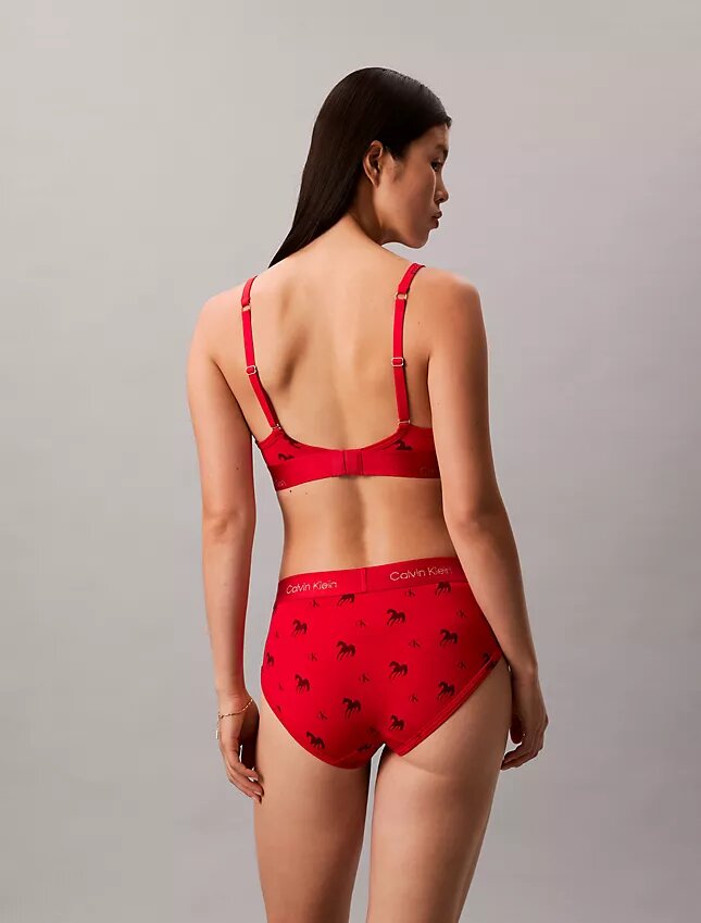 Bralette triangular com forro leve para o Ano Novo Lunar Bralette triangular com forro leve para o Ano Novo Lunar