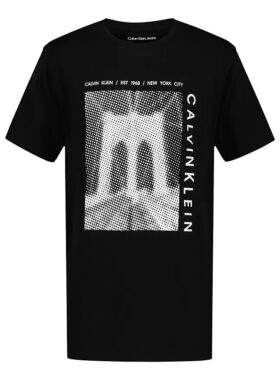 Camiseta clássica com gráfico do logótipo Bridge para meninos