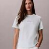 Camiseta clássica com logótipo em camadas Camiseta clássica com logótipo em camadas