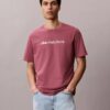 Camiseta clássica com logótipo em minúsculas Camiseta clássica com logótipo em minúsculas