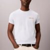 Camiseta com logotipo gráfico Calvin Klein Camiseta com logotipo gráfico Calvin Klein