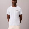 Camiseta com logotipo gráfico Calvin Klein Camiseta com logotipo gráfico Calvin Klein
