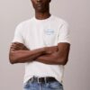 Camiseta com logotipo gráfico Calvin Klein Camiseta com logotipo gráfico Calvin Klein