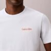 Camiseta com logotipo gráfico Calvin Klein Camiseta com logotipo gráfico Calvin Klein
