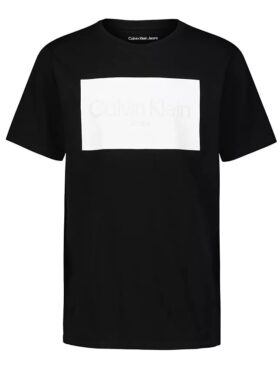 Camiseta de gola redonda com bloco de logótipo Ck para meninos
