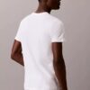 Camiseta de gola redonda com corte clássico, pacote de 3 peças da Cotton Classics Camiseta de gola redonda com corte clássico, pacote de 3 peças da Cotton Classics