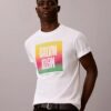 Camiseta Easy Tee com logótipo Pride
