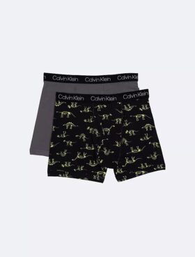 Conjunto de 2 Boxers justos em algodão Cotton Stretch para meninos
