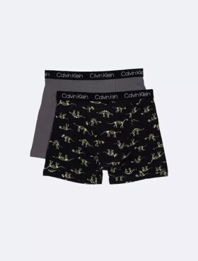 Conjunto de 2 Boxers justos em algodão Cotton Stretch para meninos