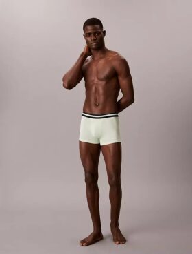 Conjunto de 3 calções Icon Active Mesh Trunk