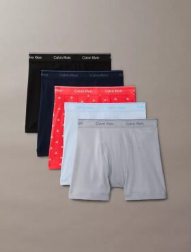 Conjunto de 5 Boxers justos de algodão