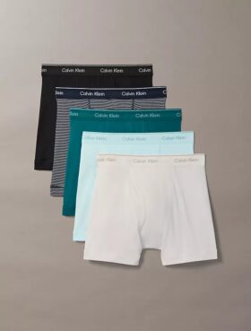 Conjunto de 5 Boxers justos de algodão