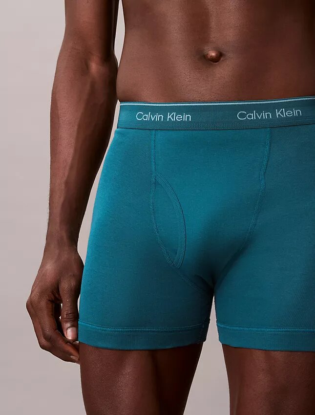 Conjunto de 5 Boxers justos de algodão Conjunto de 5 Boxers justos de algodão