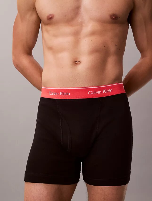 Conjunto de 5 Boxers justos de algodão Conjunto de 5 Boxers justos de algodão