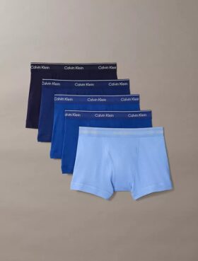 Conjunto de 5 cuecas clássicas de algodão