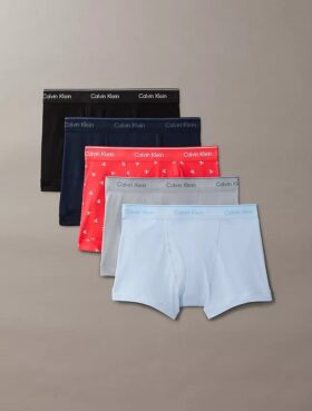 Conjunto de 5 cuecas clássicas de algodão