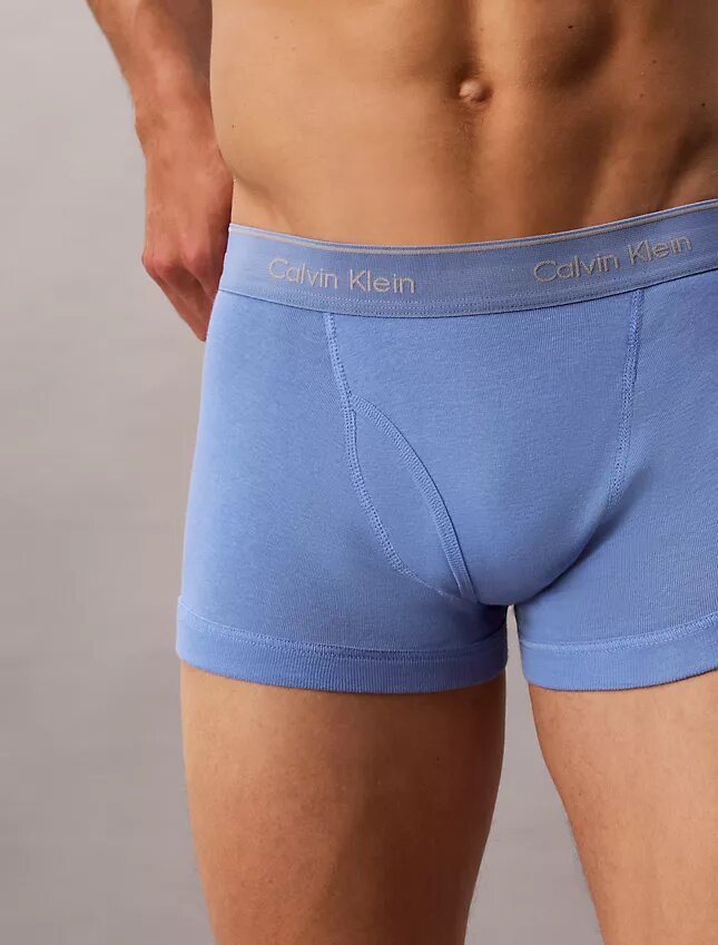 Conjunto de 5 cuecas clássicas de algodão Conjunto de 5 cuecas clássicas de algodão