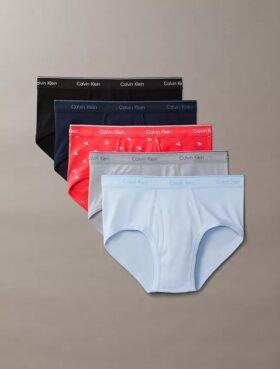 Conjunto de 5 cuecas slip clássicas de algodão