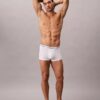 Conjunto de 5 Low Rise Trunks de algodão Cotton Stretch Icon
