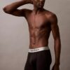 Cueca Boxer Brief elástica em microfibra escovada Cueca Boxer Brief elástica em microfibra escovada
