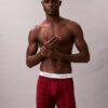 Cueca Boxer Brief em algodão Cotton Stretch Icon