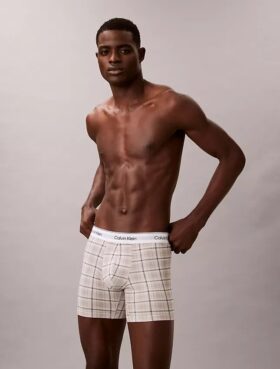 Cueca Boxer Brief em algodão Cotton Stretch Icon