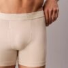 Cueca Boxer Brief Naturals Flex Cueca Boxer Brief Naturals Flex