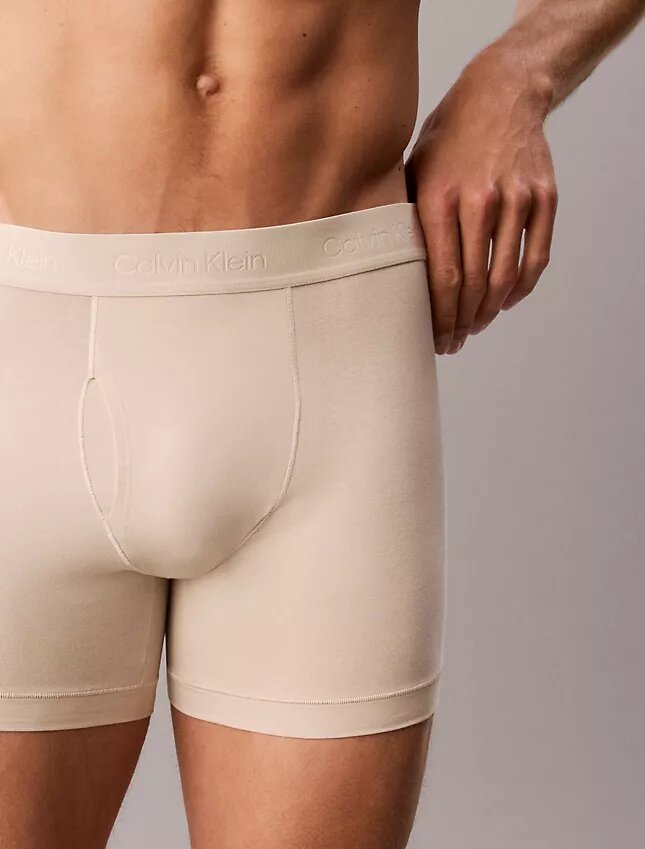 Cueca Boxer Brief Naturals Flex Cueca Boxer Brief Naturals Flex