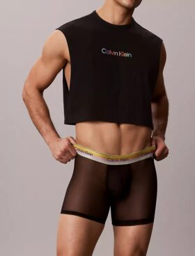 Cueca Boxer Icon Mesh Pride