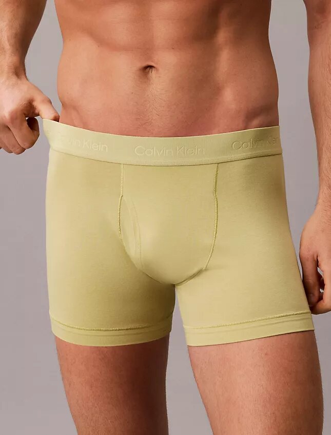 Cueca Boxer Naturals em Algodão Cotton Stretch Flex Cueca Boxer Naturals em Algodão Cotton Stretch Flex