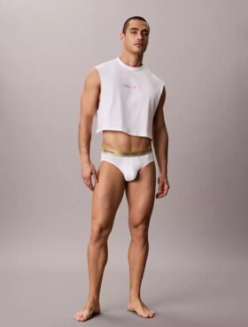 Cueca de cintura baixa Icon Cotton Stretch Pride Brief
