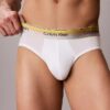 Cueca de cintura baixa Icon Cotton Stretch Pride Brief