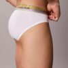 Cueca de cintura baixa Icon Cotton Stretch Pride Brief