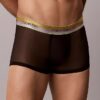 Cueca de Low Rise Trunk Icon Mesh Pride