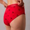 Cueca Hipster do Ano Novo Lunar Cueca Hipster do Ano Novo Lunar