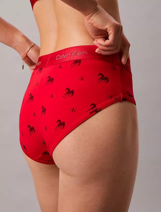 Cueca Hipster do Ano Novo Lunar Cueca Hipster do Ano Novo Lunar