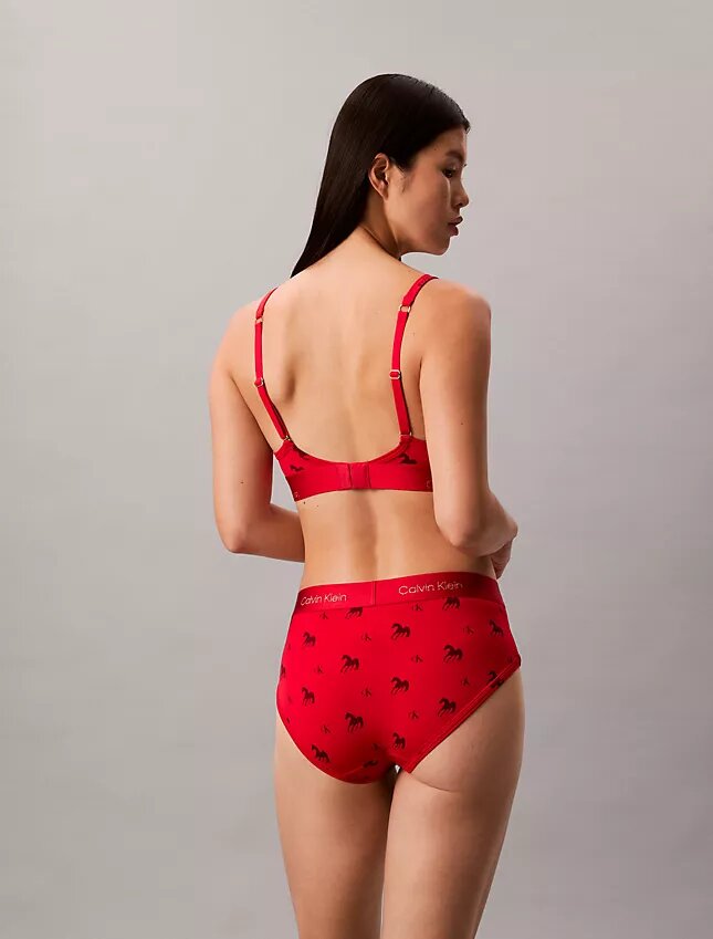 Cueca Hipster do Ano Novo Lunar Cueca Hipster do Ano Novo Lunar