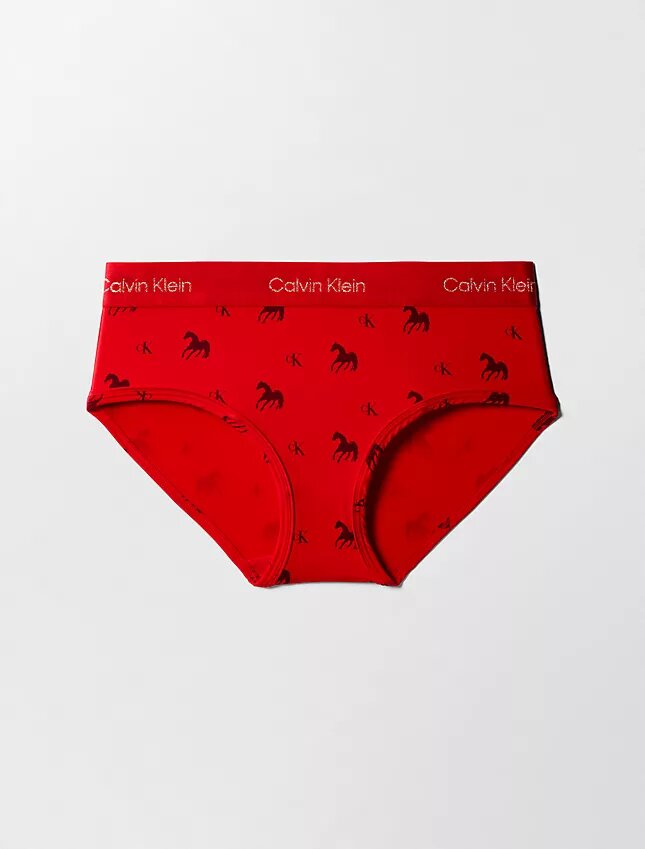 Cueca Hipster do Ano Novo Lunar Cueca Hipster do Ano Novo Lunar