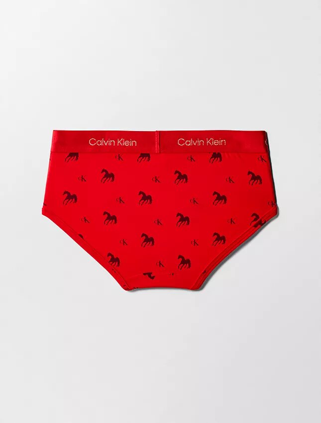 Cueca Hipster do Ano Novo Lunar Cueca Hipster do Ano Novo Lunar