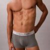 Cueca Low Rise Trunk em microfibra escovada elástica Cueca Low Rise Trunk em microfibra escovada elástica