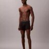 Icon Cotton Stretch Boxer Brief, edição limitada