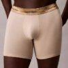 Icon Cotton Stretch Boxer Brief, edição limitada