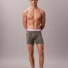 Icon Cotton Stretch Boxer Brief, edição limitada