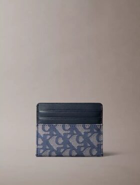Porta-cartões com Monogram em toda a superfície