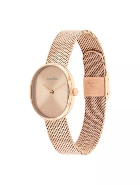 Relógio com bracelete de malha redonda