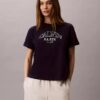 T-shirt Boxy com logótipo em arco