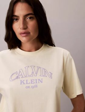 T-shirt Boxy com logótipo em arco
