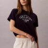 T-shirt Boxy com logótipo em arco
