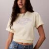 T-shirt Boxy com logótipo em arco T-shirt Boxy com logótipo em arco