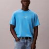 T-shirt clássica com logótipo e efeito de lavagem ácida T-shirt clássica com logótipo e efeito de lavagem ácida